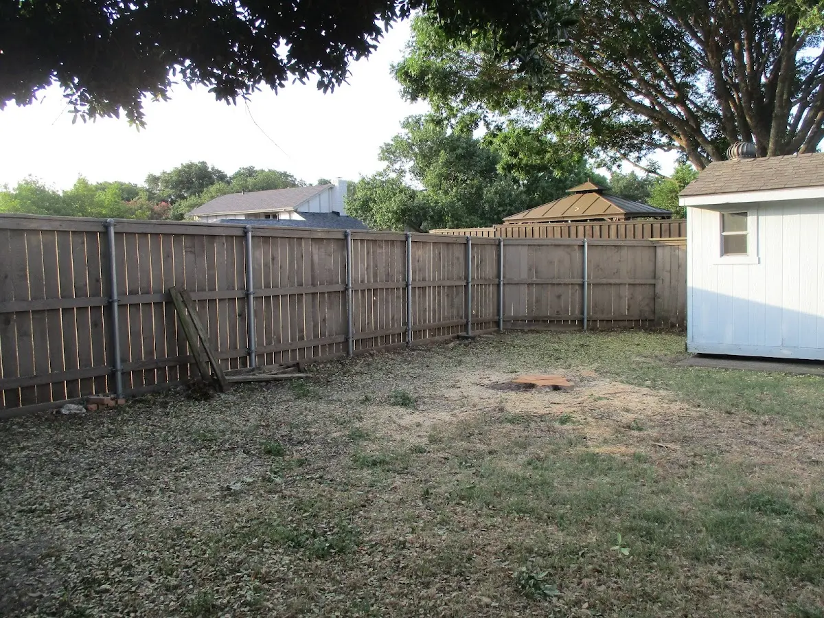 Cleared yard after professional tree removal in Mill River